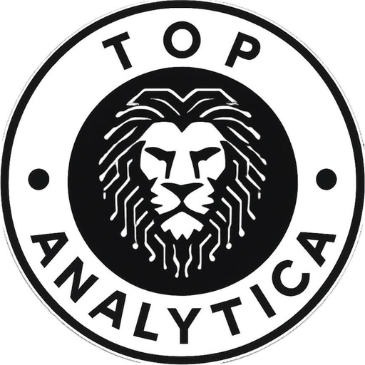 TOP ANALYTICA logo